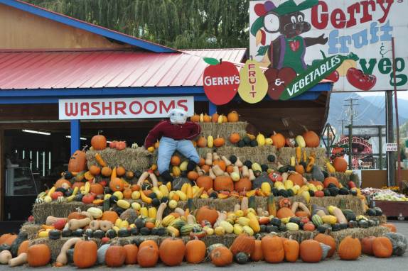 Nessa época do ano, encontramos abóboras em várias lojas de estrada (Okanagan Valley, no  sul da British Columbia, no Canadá)